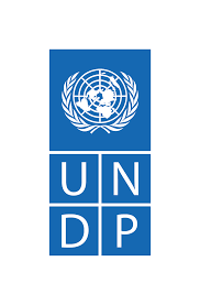 UNDP-LOGO.png